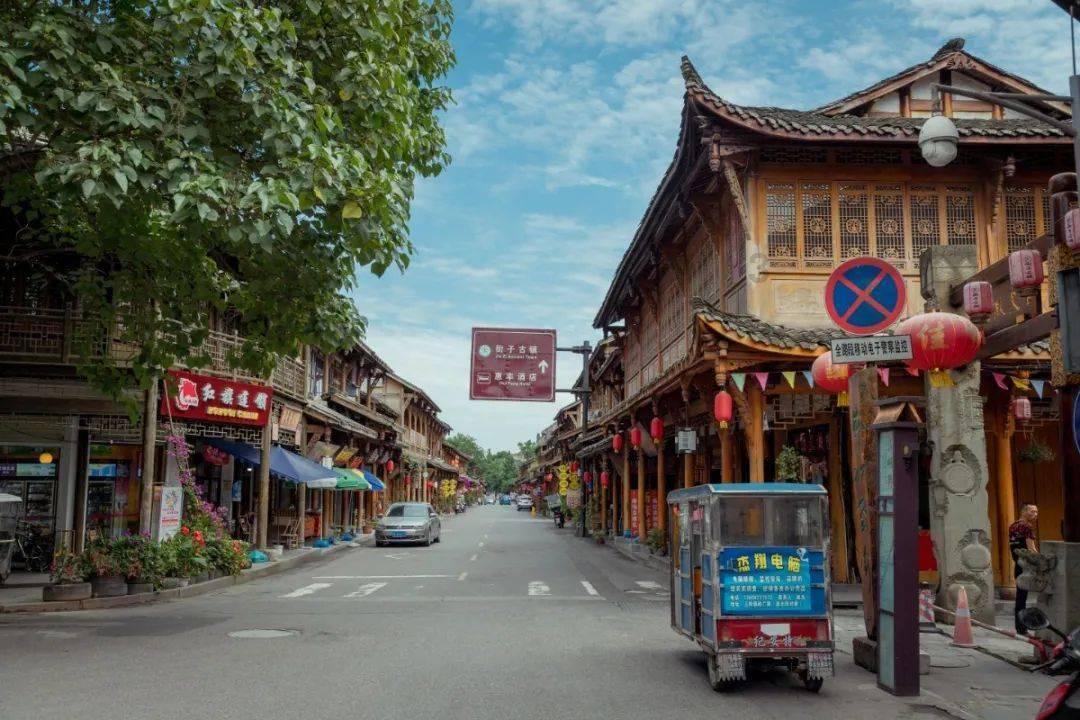 动物帮帮忙保卫家园